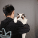 CD布偶猫舍