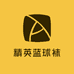 精英蓝球袜