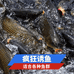 狂钓户外渔具个体店
