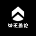 神王盖伦水饮店