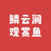 鳞云涧观赏鱼