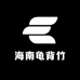 海南龟背竹