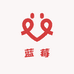 云南永仁蓝莓园