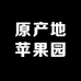 原产地苹果园