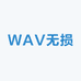 WAV无损