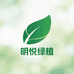 明悦绿植基地
