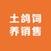 飞帆鸽业