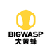 BIG WASP大黄蜂蜂生水起童鞋专卖店