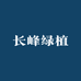 长峰绿植