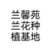 兰馨苑兰花种植基地