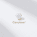 Carrylove饰品