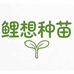 寿光鲤想种苗甄选店