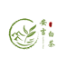 安吉五锋山白茶