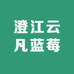 澄江云凡蓝莓