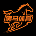 华南黑马体育
