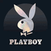 PLAYBOYOUTDOOR莆田市顶呱呱贸易有限公司男鞋专卖店