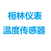 上海桓林仪表
