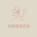 成峰童装优选