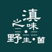 滇之味野生菌