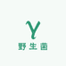 云楚甄选野生菌