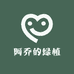阿乔的绿植