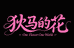 狄马的花2号店