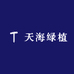 天海绿植