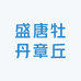 盛唐牡丹章丘店