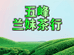 五峰兰妹茶行
