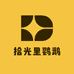 拾光里鹦鹉