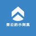 青云的小阿真