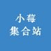 小莓集合站
