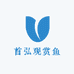首弘观赏鱼
