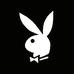PLAYBOY ESTABLISHED 1953苏州山有扶苏网络科技有限公司羽绒服专卖店