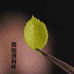 草莓仙人粘土手作室