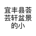 宜丰县荟芸轩盆景的小店