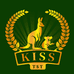 KISS TST家私皮具护理旗舰店