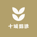 十城甄选