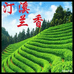 泾县茶农高山绿茶