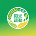阳光疏勒农产品严选铺