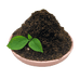 春植园艺