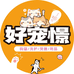 好宠憬名猫