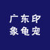 广东印象龟宠