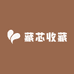 藏芯收藏