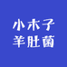 小木子羊肚菌