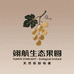 广西翊航高端水果