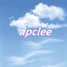 APCLEE陆旅体育专卖店
