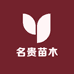 百顺名贵苗木基地