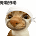 豆橛子卡牌