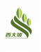 西大坡桑黄